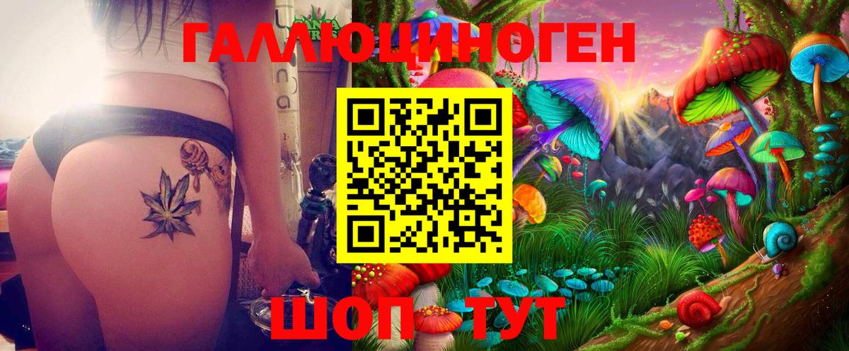 Искитим  купить наркотики сайты  Вход с VPN  Галлюциногенные грибы GOLDEN TEACHER 